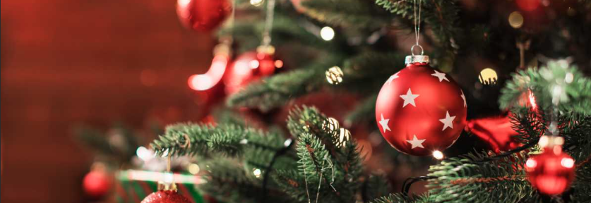 Navidad 2025
